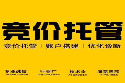 竞价广告开户的未来趋势与成功案例探讨